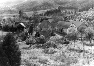 Novi tabor, september 1943 (foto Janez Miličinski, lastnik Muzej novejše zgodovine Slovenije)